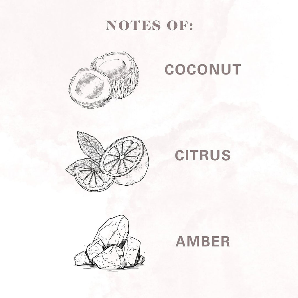 Allswell Calm Scented Ceramic Jar Spa Candle 10 oz., Coconut & Citrus & Amber, White